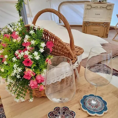 Gapyeong Starry Night Glamping-3